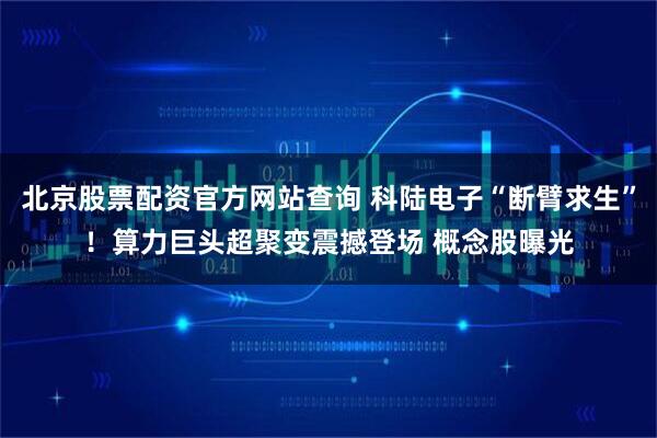 北京股票配资官方网站查询 科陆电子“断臂求生”！算力巨头超聚变震撼登场 概念股曝光